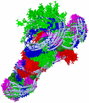 Image NMR Structure - all models