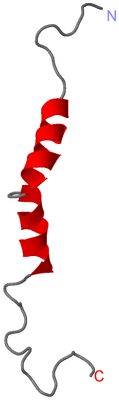 Image NMR Structure - model 1