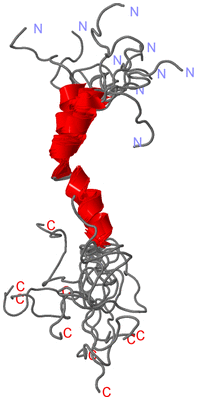 Image NMR Structure - all models