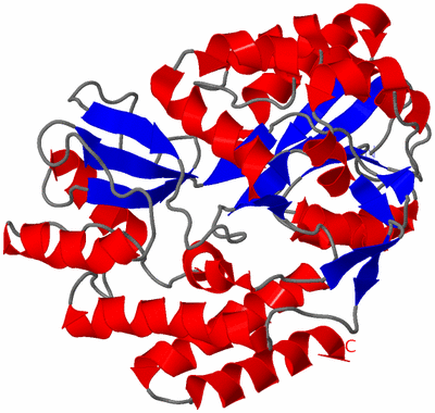 Image NMR Structure - model 1