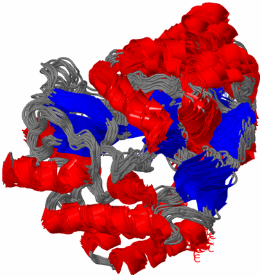 Image NMR Structure - all models