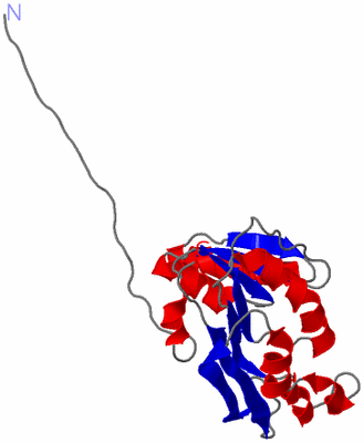 Image NMR Structure - model 1