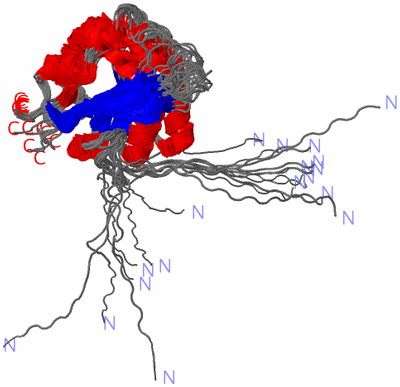 Image NMR Structure - all models