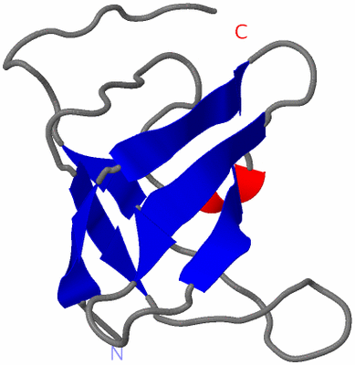 Image NMR Structure - model 1