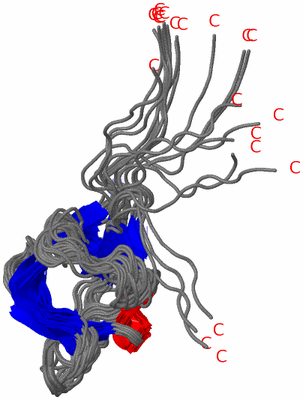 Image NMR Structure - all models