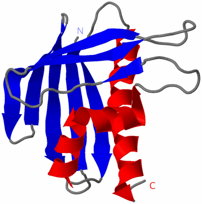 Image NMR Structure - model 1