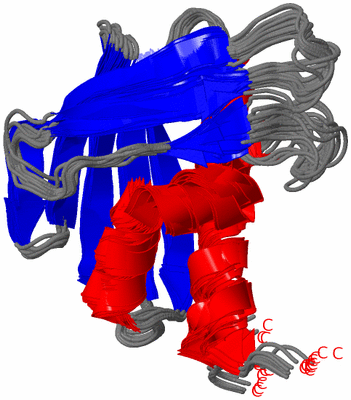 Image NMR Structure - all models