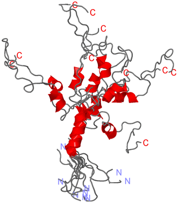 Image NMR Structure - all models