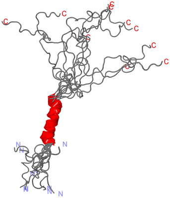 Image NMR Structure - all models