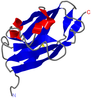 Image NMR Structure - model 1