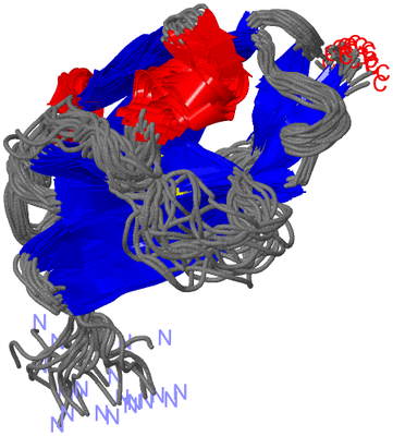 Image NMR Structure - all models