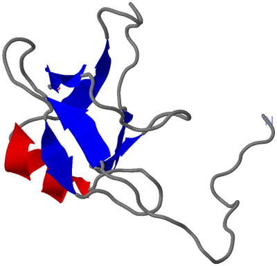 Image NMR Structure - model 1