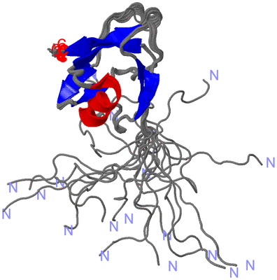 Image NMR Structure - all models