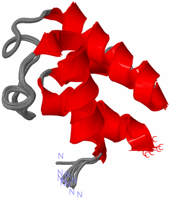 Image NMR Structure - all models