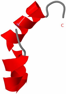 Image NMR Structure - model 1