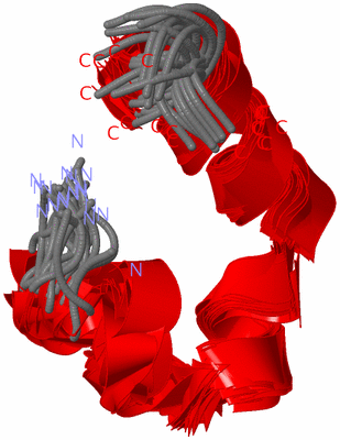 Image NMR Structure - all models