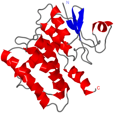 Image NMR Structure - model 1