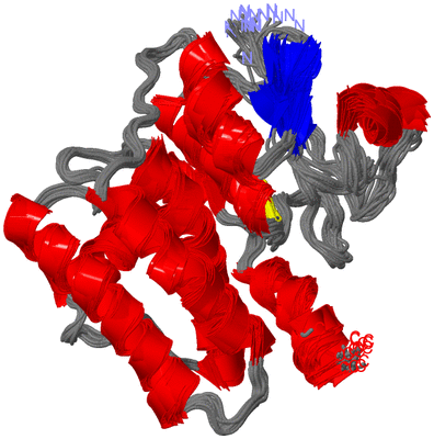 Image NMR Structure - all models