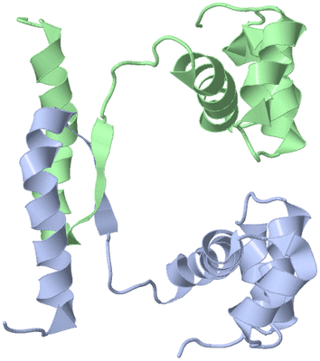 Image NMR Structure - model 1