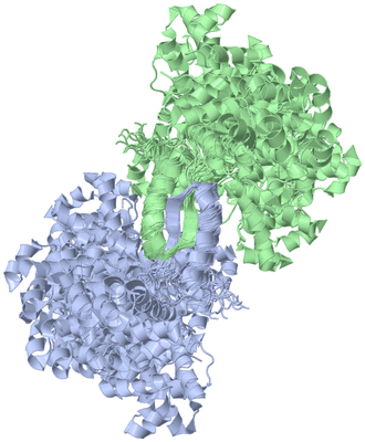 Image NMR Structure - all models