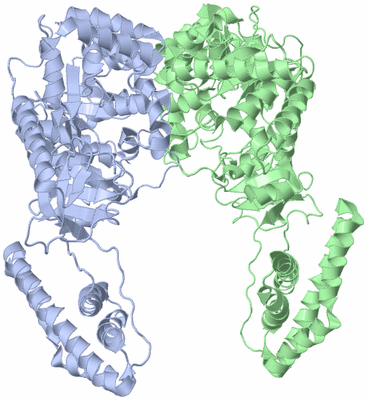 Image NMR Structure - model 1