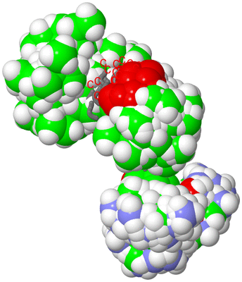 Image NMR Structure - all models