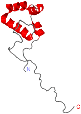 Image NMR Structure - model 1