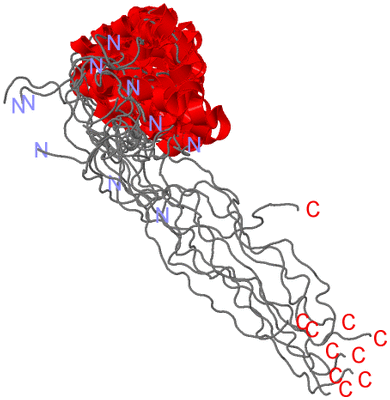 Image NMR Structure - all models