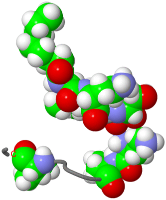 Image NMR Structure - model 1