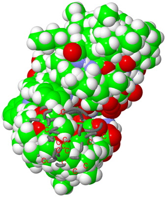 Image NMR Structure - all models