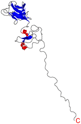 Image NMR Structure - model 1