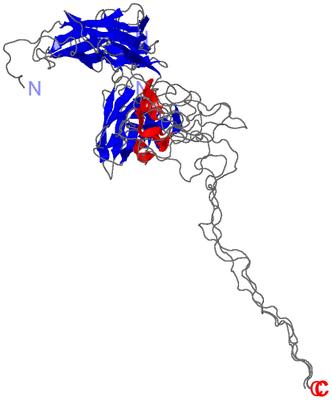 Image NMR Structure - all models