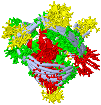 Image NMR Structure - all models