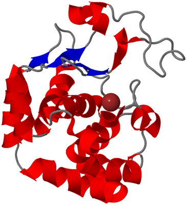 Image NMR Structure - model 1