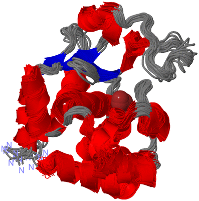 Image NMR Structure - all models