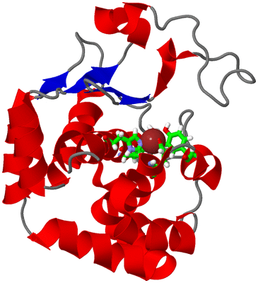 Image NMR Structure - model 1, sites