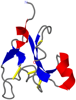 Image NMR Structure - model 1