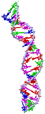 Image NMR Structure - model 1