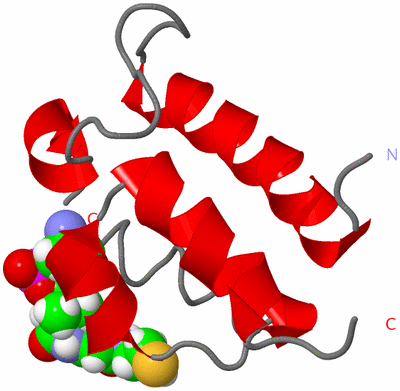 Image NMR Structure - model 1