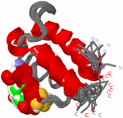 Image NMR Structure - all models