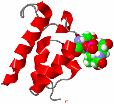 Image NMR Structure - model 1