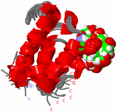 Image NMR Structure - all models