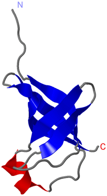 Image NMR Structure - model 1