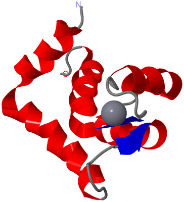 Image NMR Structure - model 1