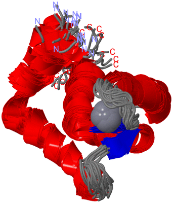 Image NMR Structure - all models