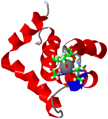 Image NMR Structure - model 1, sites