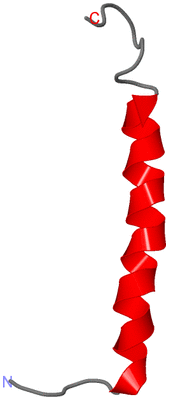 Image NMR Structure - model 1