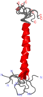 Image NMR Structure - all models