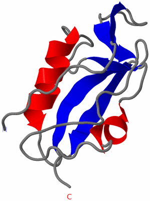 Image NMR Structure - model 1