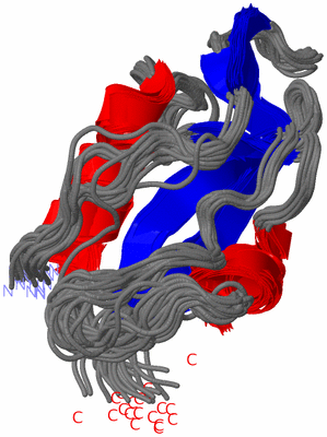 Image NMR Structure - all models